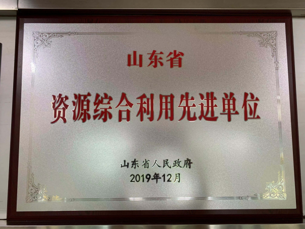 山東省資源綜合利用先進(jìn)單位